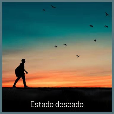 Silueta de una persona caminando al atardecer con aves en el cielo.
