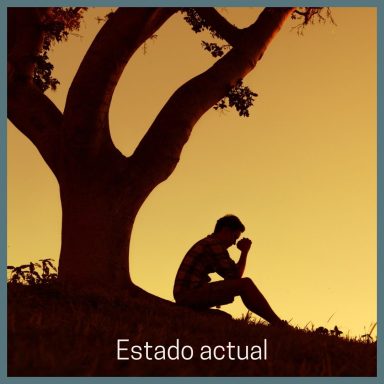 Silueta de una persona sentada bajo un árbol al atardecer. Texto: "Estado actual".